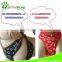 Japanese jeans with leash for small & medium size dog leash/ dog collar