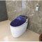 Wholesale ceramics bathroom new design economic one piece toilet with basin  combination in one suit