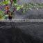 2x100m, 90gsm, black agricultural plastic weed mat/ground cover