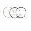 perfect circle piston ring