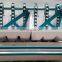 5 Rows  Garlic Seeder planter machine for sale