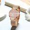 HANNAH MARTIN MS36 Casual Women Quartz Movement Custom Logo Watch Stainless Steel Waterproof Women Wristwatch Business Watch