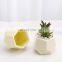 High Quality Artificial Succulent Levitating Mini Pot Sale Indoor Flower Ceramic Planters Wholesale Plant Pots