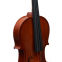 INNEO Violin - Classic Spruce and Maple Violin Set