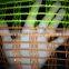 plastic safety net