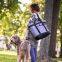 polyester cooler bag carry cooler bag