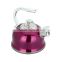 Stainless steel Automatic honking kettle Water pot