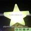 LED light art craft with remote control YXF-2107F
