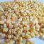 IQF Frozen super sweet sweet corn kernel size 8-11mm