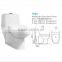 Ceramic Washdown One Piece Toilet_s Trap Toilet for Saudi Arabia