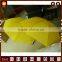 Reasonable price chinese parasol promotional umbrella with logo printing                        
                                                Quality Choice