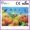 13.5 inch especially fruit dials glass clock