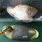 XPE lifelike floatable Canada decoy goose