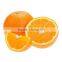 Hot sale fresh sweet Navel Orange with best price