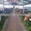 chicken farm steel sturcture building