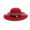 fascinating cheap wide brim hat/New Fashion hat