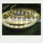 Mexico Market Free Replacement Cold Led Strip el Wire