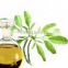 Factory supply Bulk Moringa seed oil for Skin Care/ use for skin