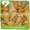 High quality fresh fat ginger product
