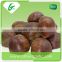 Export frozen chestnuts