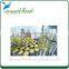 3000g Chinese origin top quality canned water chestnut