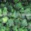 Frozen Vegetable Broccoli 3-5cm