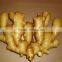 2016 new crop fresh wholesale ginger for sale