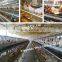 automatic chicke cage layer for poultry equipment in chiken farm