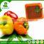 Hot sell practical fulvic fertilizer npk for the world