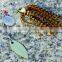 spoon lure sea fishing bait