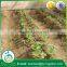 best price drip irrigation pipe for irrigation system
