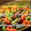 Fully Automatic Fruit loop snack food making machine/production line/plant