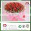 pp no nwoven fabric for flower warpping