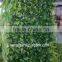 plastic garden walls,vertical green wall