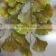 SJ070917 Artificial golden ginkgo leaf/wholesale folium ginkgo leaves sale