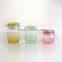 Colorful Glass Storage Jar With Clip Lid