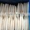 IQF/BQF Frozen Squid Tube