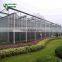 Professional Efficient Industrial Used Framed Glass Greenhouse