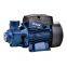 QB70 0.75HP Peripheral Pump