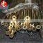 Large diameter Brass tube