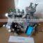 T832080129 Injection Pump for Lovol 1004C-P4TRT90 Engine with Governor CRSV350/1100AD7C425R