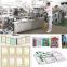 DPB-ZH Pharmaceutical Blister Packing and Cartoning machine