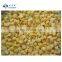 Sinocharm organic fruit fresh raw materials 10*10mm Frozen Diced Yellow Peach IQF Yellow Peach