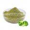 Natural Broccoli Extract Powder, Broccoli Extract Sulforaphane 1%