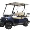 Lady gift classy for Christmas present electric golf car mini cute golf cart family use