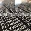 Black Film Faced Plywood Prices Hardwood Concrete Formwork Playwood 18mm for Construction