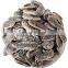 2022 byloo promotional hot sale big size  180 190 200 Wholesales Sunflower Seeds In Shell with Sweet Salt Flavor premium quality