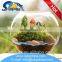 Low price wholesale glass fish bowls for table decoration