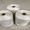 Wholesale Raw Silk Yarn 60nm/2 Denier 3A/4A/5A Grade Raw Silk Yarn