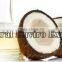 Coconut Oil